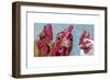 Three Chicks-Kathryn Wronski-Framed Art Print