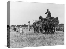 Three Children Helping Their Farmer Father to Bring in the Hay by Horse and Cart-Staniland Pugh-Stretched Canvas