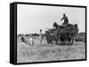 Three Children Helping Their Farmer Father to Bring in the Hay by Horse and Cart-Staniland Pugh-Framed Stretched Canvas