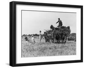 Three Children Helping Their Farmer Father to Bring in the Hay by Horse and Cart-Staniland Pugh-Framed Photographic Print