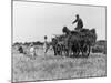 Three Children Helping Their Farmer Father to Bring in the Hay by Horse and Cart-Staniland Pugh-Mounted Photographic Print