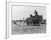 Three Children Helping Their Farmer Father to Bring in the Hay by Horse and Cart-Staniland Pugh-Framed Photographic Print