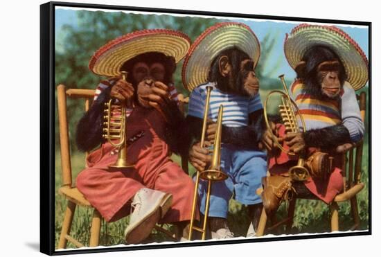 Three Chimpanzees with Brass Instruments and Hats-null-Framed Stretched Canvas