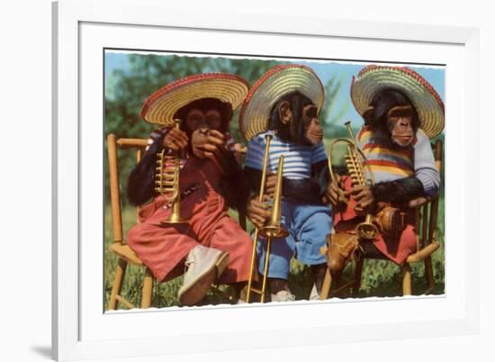 Three Chimpanzees with Brass Instruments and Hats-null-Framed Premium Giclee Print