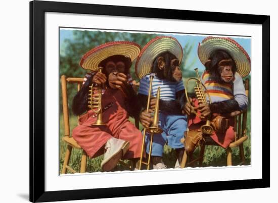 Three Chimpanzees with Brass Instruments and Hats-null-Framed Premium Giclee Print