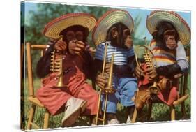 Three Chimpanzees with Brass Instruments and Hats-null-Stretched Canvas