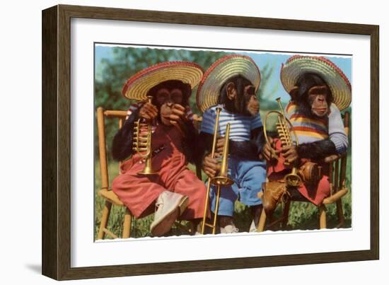 Three Chimpanzees with Brass Instruments and Hats-null-Framed Art Print