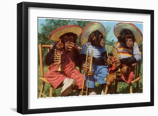 Three Chimpanzees with Brass Instruments and Hats-null-Framed Art Print