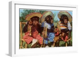 Three Chimpanzees with Brass Instruments and Hats-null-Framed Art Print