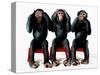 Three chimpanzees-Holger Scheibe-Stretched Canvas