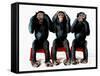Three chimpanzees-Holger Scheibe-Framed Stretched Canvas