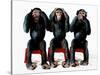 Three chimpanzees-Holger Scheibe-Stretched Canvas