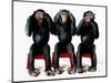 Three chimpanzees-Holger Scheibe-Mounted Photographic Print