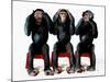 Three chimpanzees-Holger Scheibe-Mounted Photographic Print