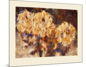 Three Chrysanthemums in a Vase-Christian Rohlfs-Mounted Collectable Print