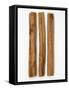 Three Cinnamon Sticks-Frank Tschakert-Framed Stretched Canvas