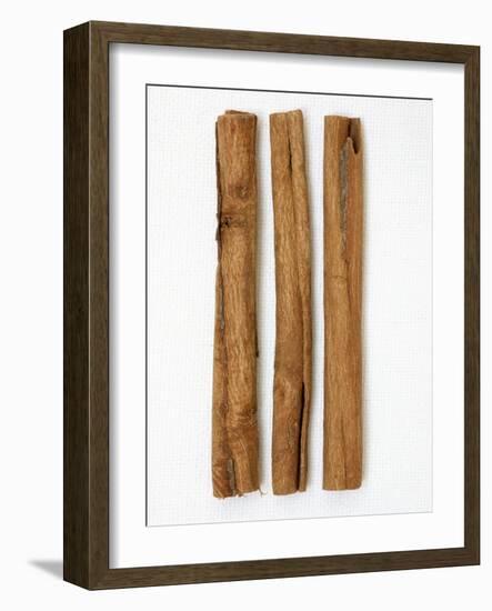 Three Cinnamon Sticks-Frank Tschakert-Framed Photographic Print