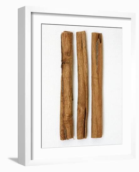 Three Cinnamon Sticks-Frank Tschakert-Framed Photographic Print