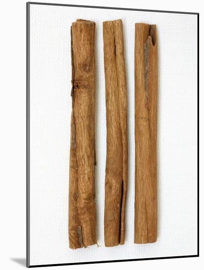 Three Cinnamon Sticks-Frank Tschakert-Mounted Photographic Print