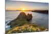 Three Cliffs Bay, Gower Peninsula, Swansea, Wales, United Kingdom, Europe-Billy Stock-Mounted Photographic Print