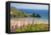 Three Cliffs Bay, Gower, Wales, United Kingdom, Europe-Billy Stock-Framed Stretched Canvas