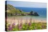 Three Cliffs Bay, Gower, Wales, United Kingdom, Europe-Billy Stock-Stretched Canvas