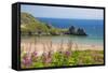 Three Cliffs Bay, Gower, Wales, United Kingdom, Europe-Billy Stock-Framed Stretched Canvas