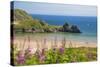 Three Cliffs Bay, Gower, Wales, United Kingdom, Europe-Billy Stock-Stretched Canvas