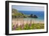 Three Cliffs Bay, Gower, Wales, United Kingdom, Europe-Billy Stock-Framed Photographic Print