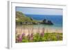 Three Cliffs Bay, Gower, Wales, United Kingdom, Europe-Billy Stock-Framed Photographic Print