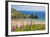 Three Cliffs Bay, Gower, Wales, United Kingdom, Europe-Billy Stock-Framed Photographic Print