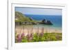 Three Cliffs Bay, Gower, Wales, United Kingdom, Europe-Billy Stock-Framed Photographic Print