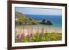 Three Cliffs Bay, Gower, Wales, United Kingdom, Europe-Billy Stock-Framed Photographic Print