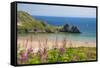 Three Cliffs Bay, Gower, Wales, United Kingdom, Europe-Billy Stock-Framed Stretched Canvas