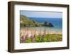 Three Cliffs Bay, Gower, Wales, United Kingdom, Europe-Billy Stock-Framed Photographic Print