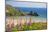 Three Cliffs Bay, Gower, Wales, United Kingdom, Europe-Billy Stock-Mounted Photographic Print