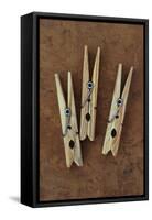 Three Clothes Pegs-Den Reader-Framed Stretched Canvas