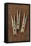 Three Clothes Pegs-Den Reader-Framed Stretched Canvas