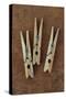 Three Clothes Pegs-Den Reader-Stretched Canvas