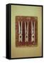Three Clothes Pegs-Den Reader-Framed Stretched Canvas