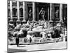 Three Coins In The Fountain, 1954-null-Mounted Photo