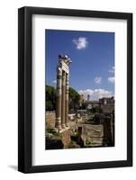 Three Columns-Peter-Framed Photographic Print