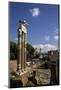 Three Columns-Peter-Mounted Photographic Print