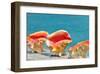 Three Conchs-Jan Michael Ringlever-Framed Art Print