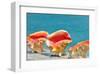 Three Conchs-Jan Michael Ringlever-Framed Art Print