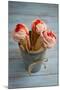 Three Cones, Each with One Scoop of Homemade Strawberry Ice Cream, Held in a Metal Container-Cynthia Classen-Mounted Photographic Print