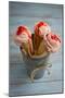 Three Cones, Each with One Scoop of Homemade Strawberry Ice Cream, Held in a Metal Container-Cynthia Classen-Mounted Photographic Print