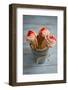 Three Cones, Each with One Scoop of Homemade Strawberry Ice Cream, Held in a Metal Container-Cynthia Classen-Framed Photographic Print