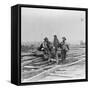 Three Confederate Prisoners, Gettysburg, Pennsylvania-null-Framed Stretched Canvas