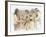 Three Corpsmen, Each Holding a Bear Cub-Roger Cooke-Framed Giclee Print